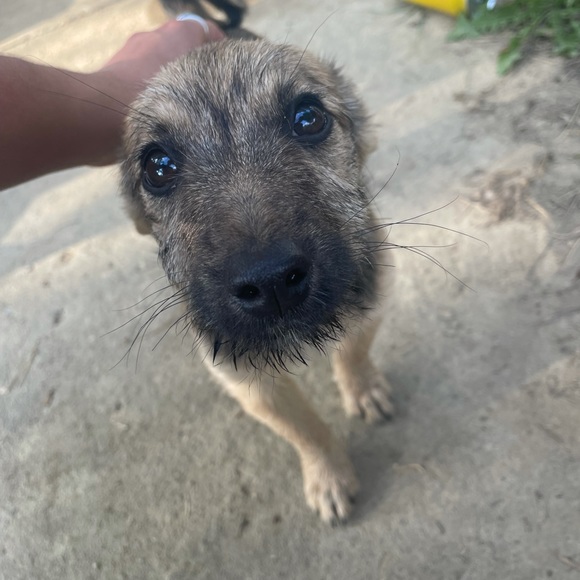 Meet your Posher, Milli - Picture 1 of 1